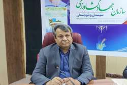 رکورد جوجه ریزی در سیستان وبلوچستان از مرز ۱۷ میلیون قطعه گذشت