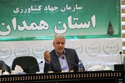 تولید گندم در استان رکورد تاریخی زد