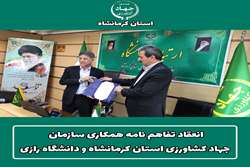 کشاورزی کرمانشاه می بایست مجهز به علم روز شود