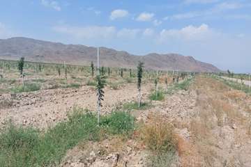 منطقه آزاد ماکو 
