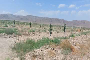 منطقه آزاد ماکو 