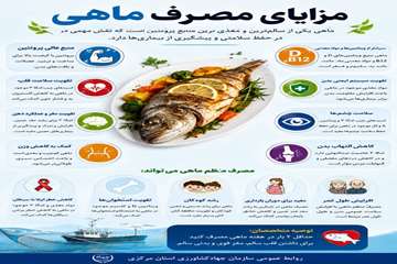 photo28547023473