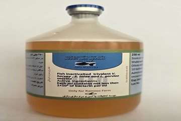 رازی