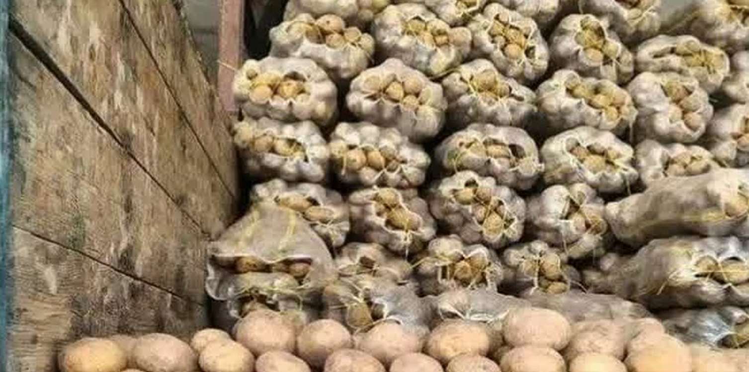 اجرای طرح ذخیره سازی احتیاطی محصول سیب زمینی ۱۴۰۳ در استان زنجان