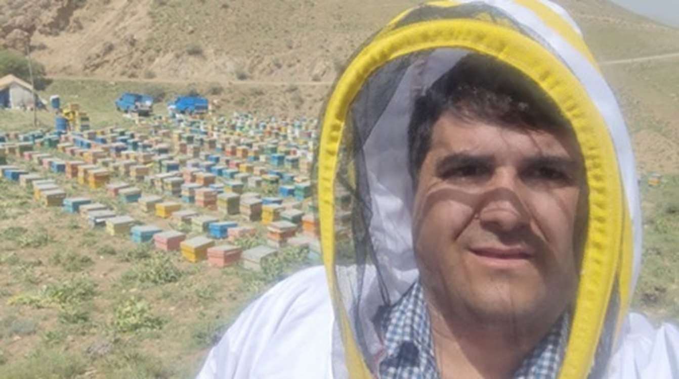 آغاز سرشماری سراسری زنبورعسل در استان زن