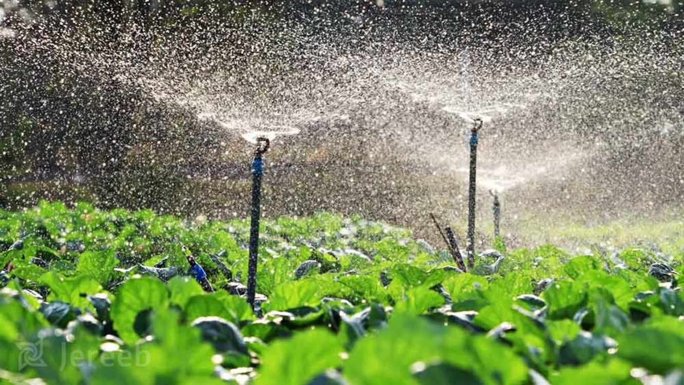 jereeb-irrigation-methods-agriculture-2 