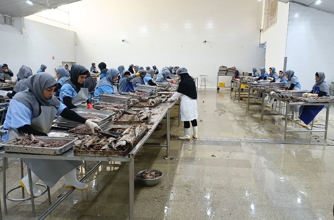 کنسرو4 