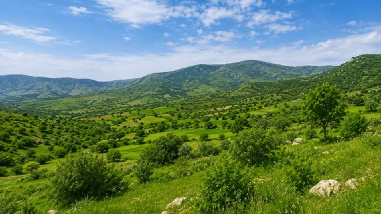 گیلان 