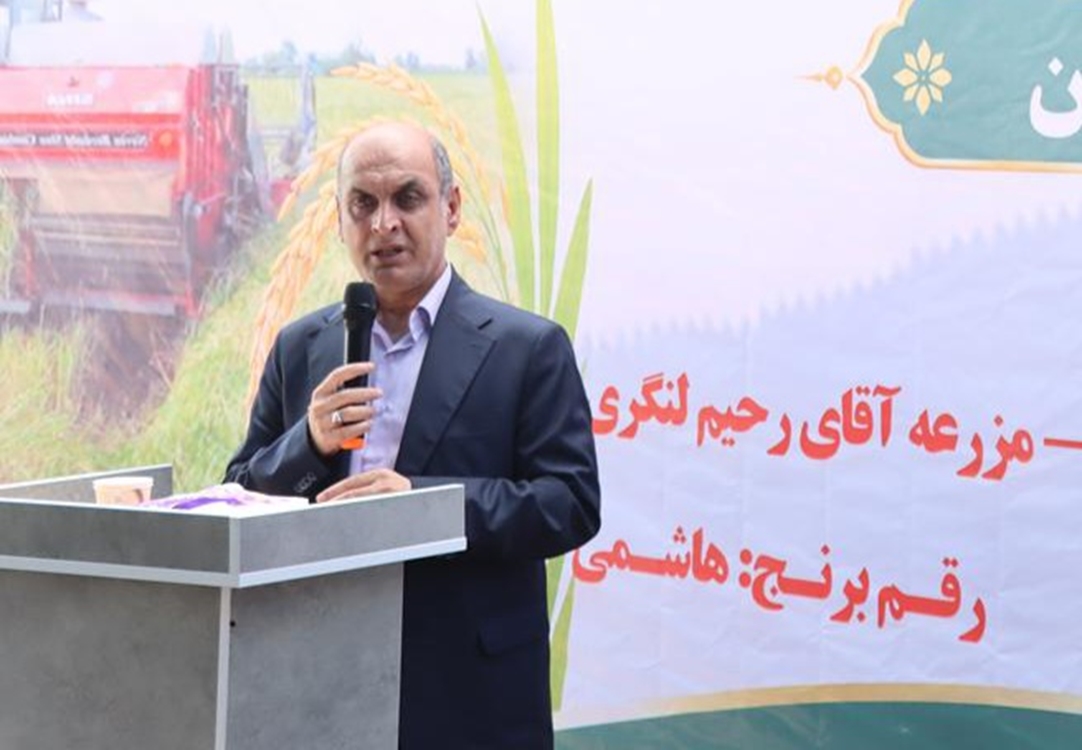 کاهش تغییر کاربری اراضی کشاورزی در گیلان با قیمت گذاری مناسب برنج و چای 