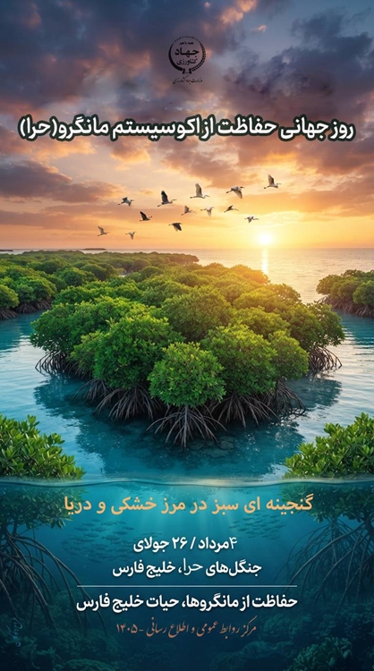 مانگرو 