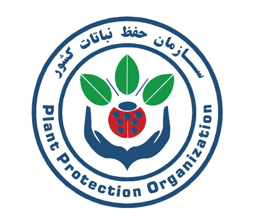 سازمان1 