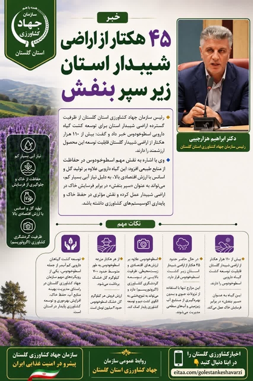 اسطوخودوس 