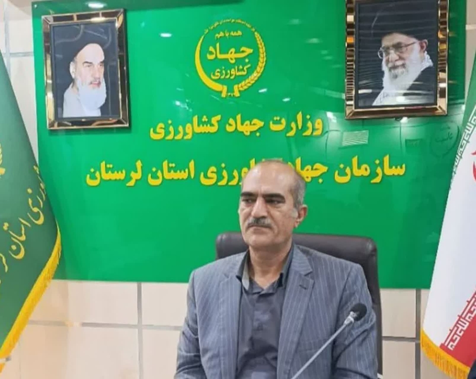 بابایی 