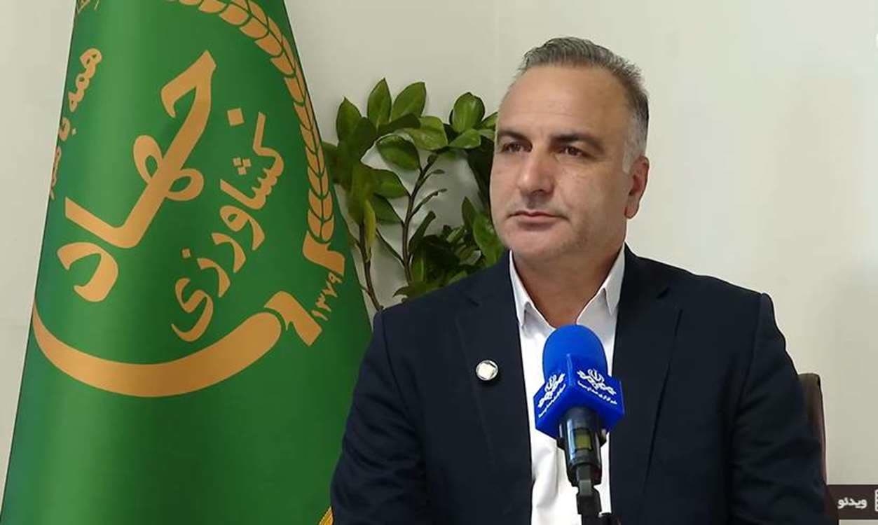آنجفی 