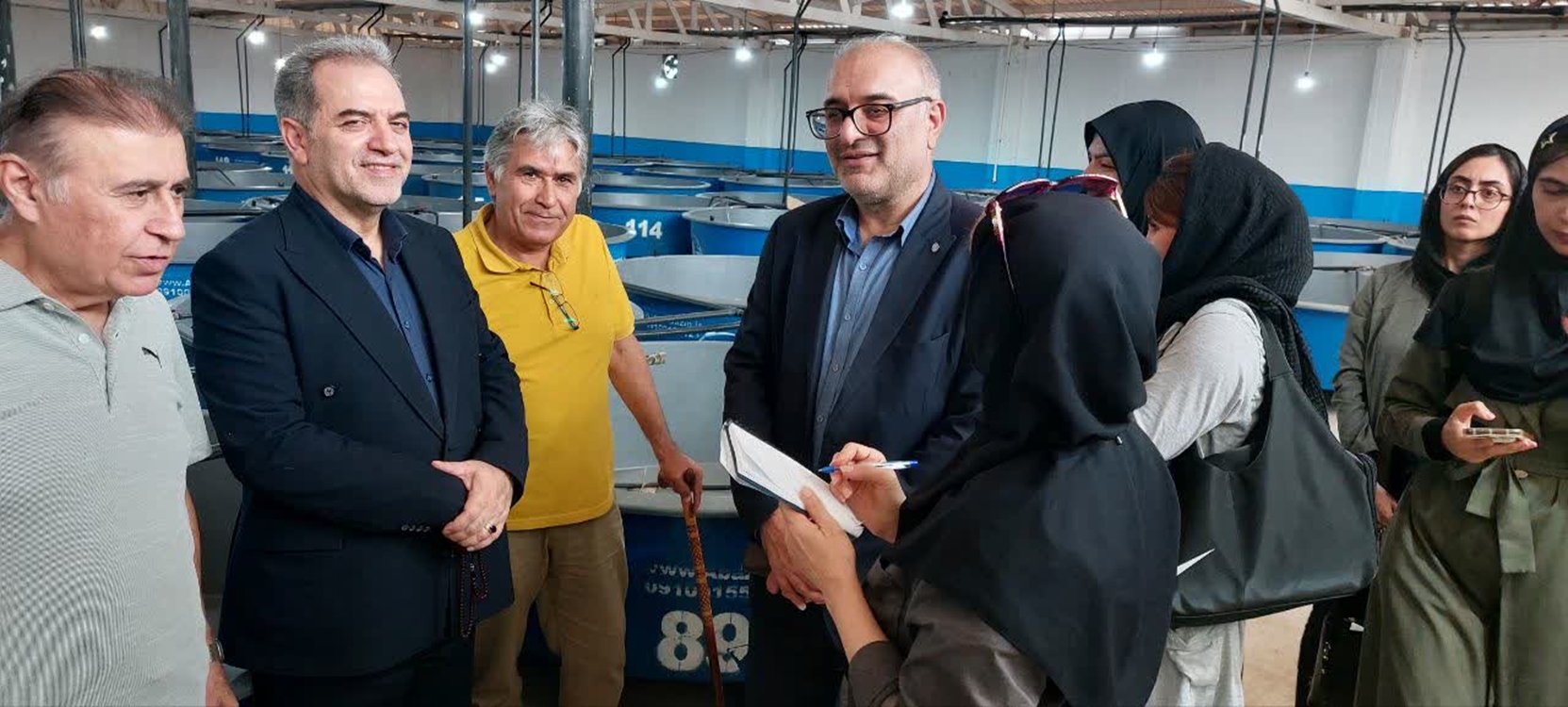 ماهی 