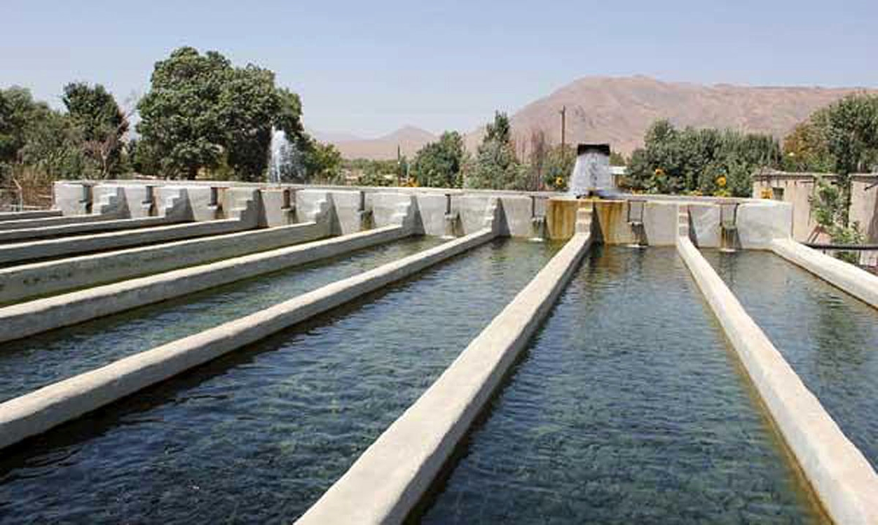 مزرعه 